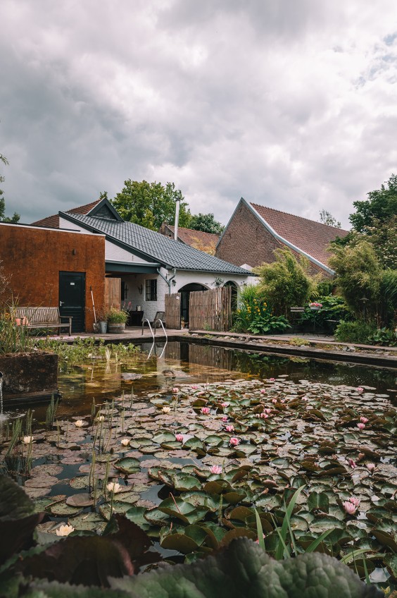 Kleurrijke boerderij | Fotografie: Sheena Schouwink