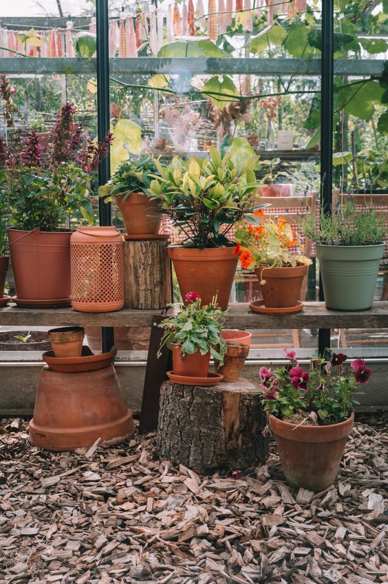 Kleurrijke boerderij | Fotografie: Sheena Schouwink