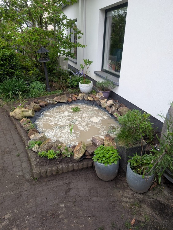 Tuiny poel aanleggen met Manon en Simon