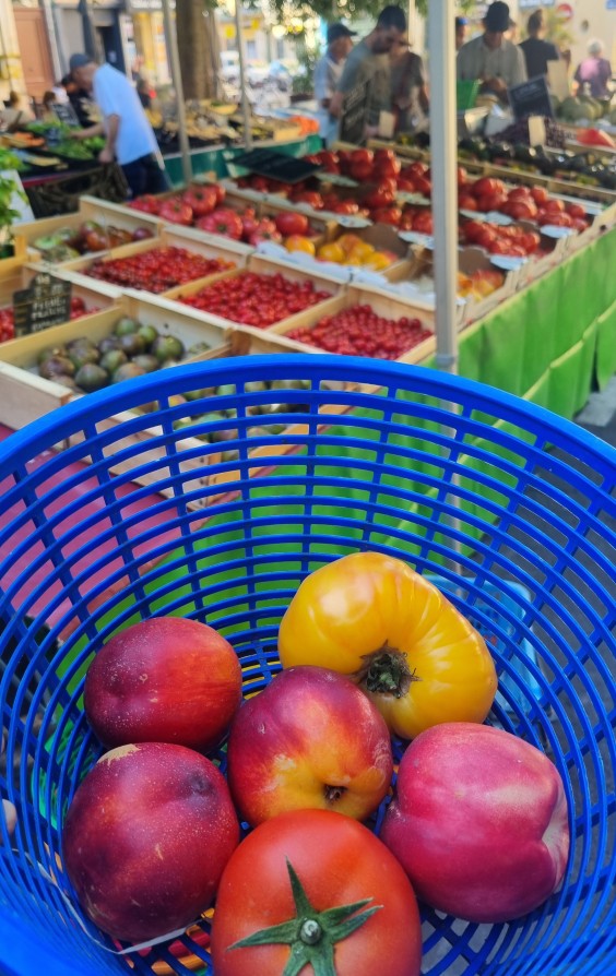 Op reis naar Zuid-Frankrijk met Marieke Eyskoot