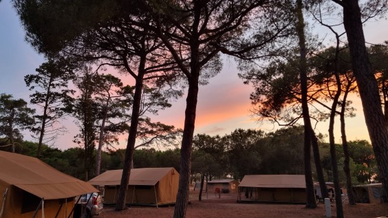 Op reis naar Zuid-Frankrijk met Marieke Eyskoot