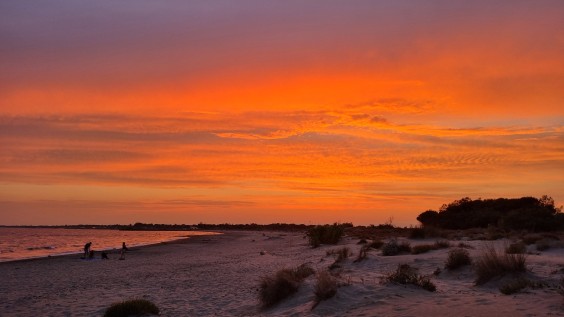Op reis naar Zuid-Frankrijk met Marieke Eyskoot