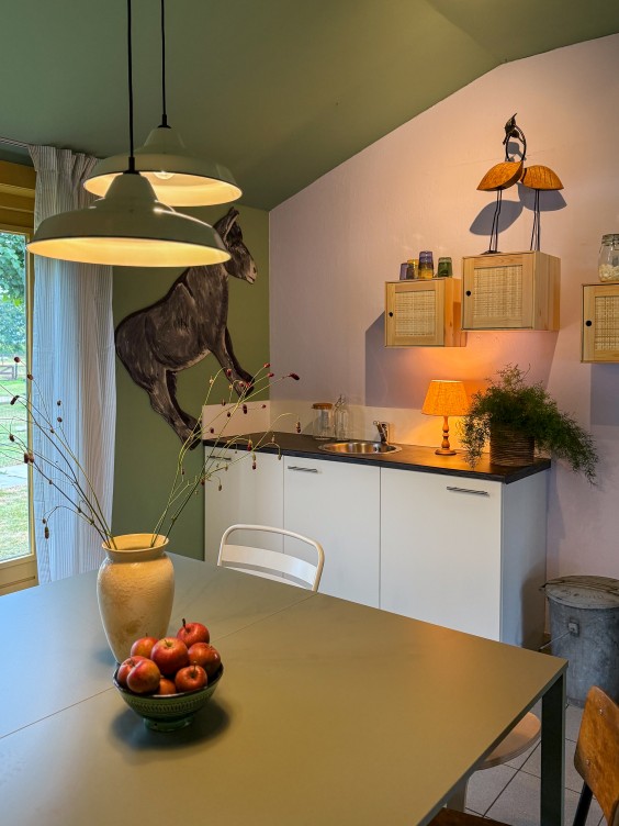 Metamorfose ezelopvang Theo-Bert Pot