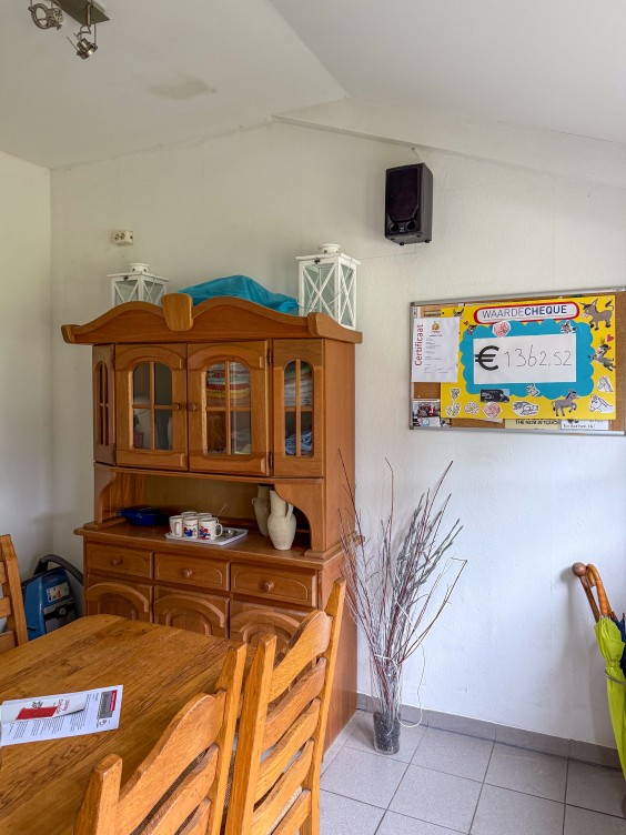 Metamorfose ezelopvang Theo-Bert Pot