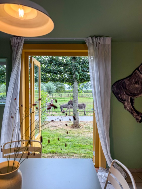 Metamorfose ezelopvang Theo-Bert Pot