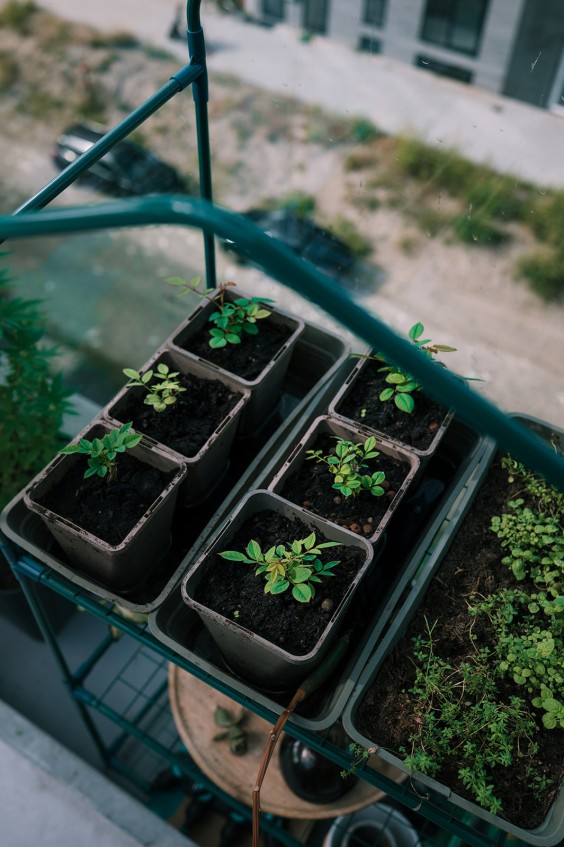 Duurzaam appartementencomplex op IJburg | Fotografie: Sheena Schouwink