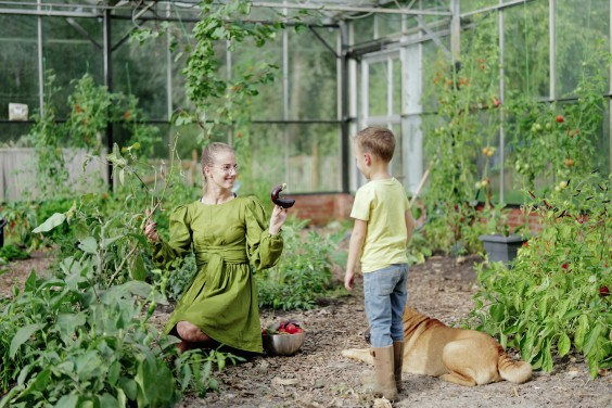 Amber en Gerben hebben een kas en tuin om zelfvoorzienend van te leven | Fotografie: Marjon Lukje