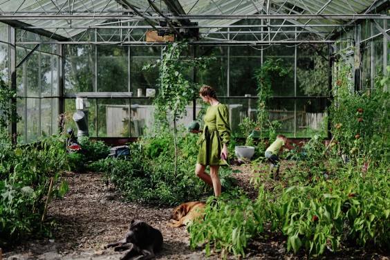 Amber en Gerben hebben een kas en tuin om zelfvoorzienend van te leven | Fotografie: Marjon Lukje