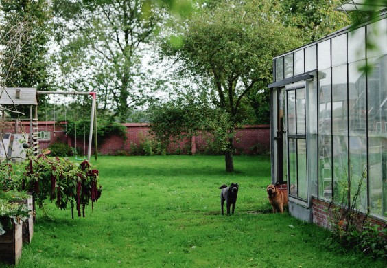 Amber en Gerben hebben een kas en tuin om zelfvoorzienend van te leven | Fotografie: Marjon Lukje
