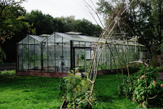 Amber en Gerben hebben een kas en tuin om zelfvoorzienend van te leven | Fotografie: Marjon Lukje