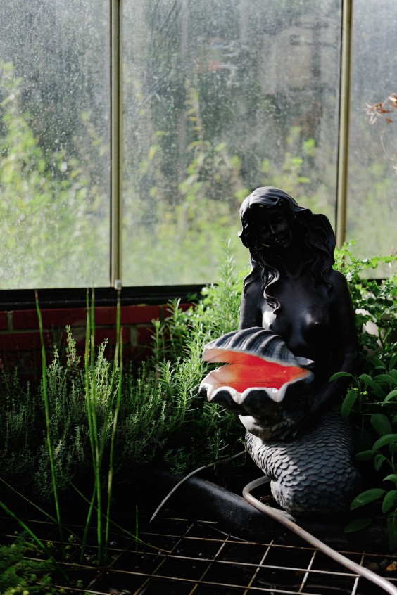 Amber en Gerben hebben een kas en tuin om zelfvoorzienend van te leven | Fotografie: Marjon Lukje