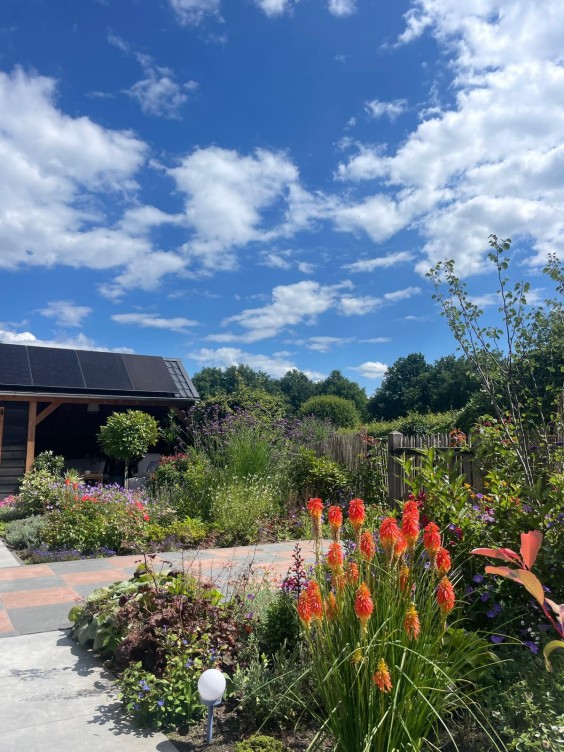 Kleurrijk droomhuis in Rheden | Fotografie: Berlinda Koning