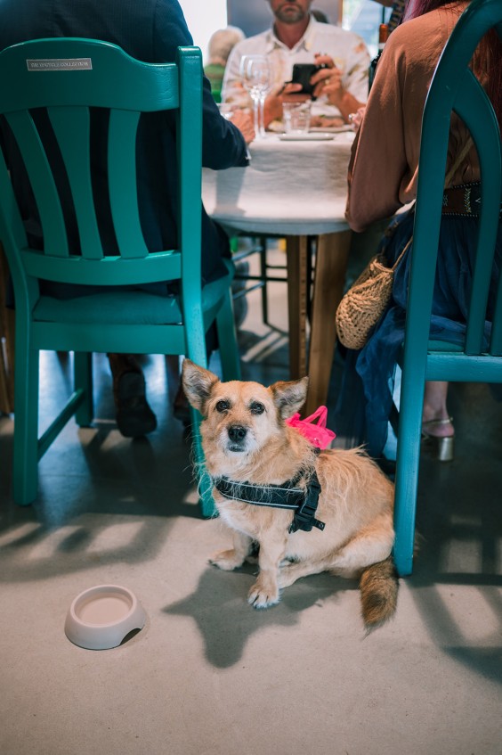 Jubileumdiner BinnensteBuiten | Foto's: Sheena Schouwink  