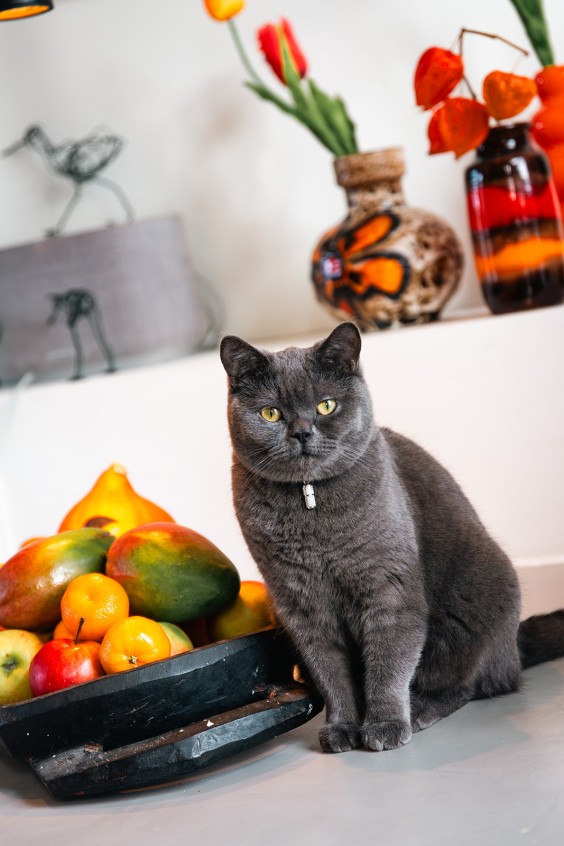 Fotografie: Roos Eijmers