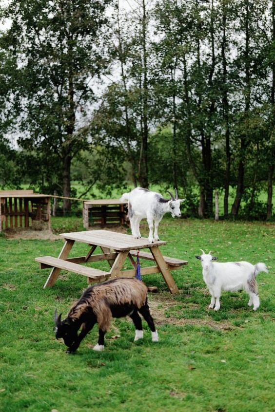 Mieke en haar hulphond Woezel | Fotografie: Marjon Lukje
