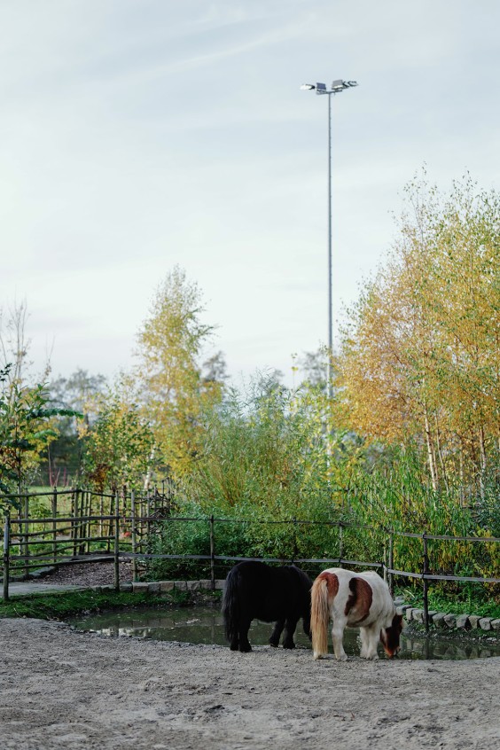 Paardenparadijs | Fotografie: Marjon Lukje