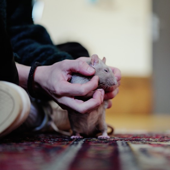 Halve kubuswoning met een jaren 70 gevoel | Fotografie: Marjon Lukje 