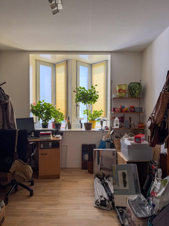 Metamorfose logeerkamer - Theo-Bert Pot