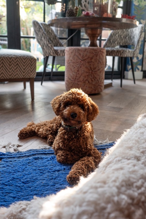 Kerst in Groet | Fotografie: Sheena Schouwink