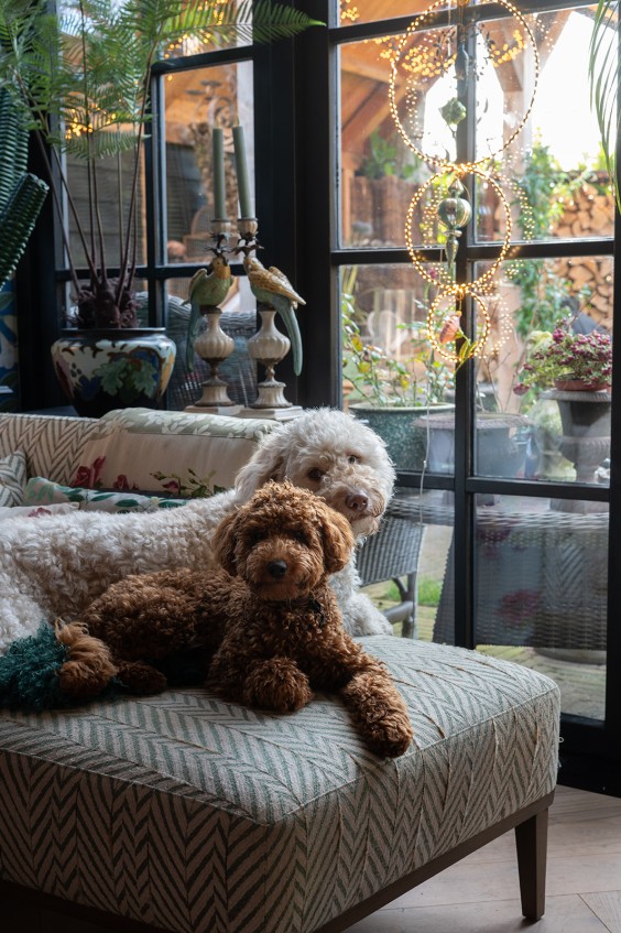 Kerst in Groet | Fotografie: Sheena Schouwink