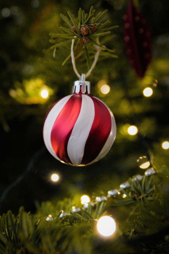 Duurzaam kerst vieren | Fotografie: Damir via Pexels