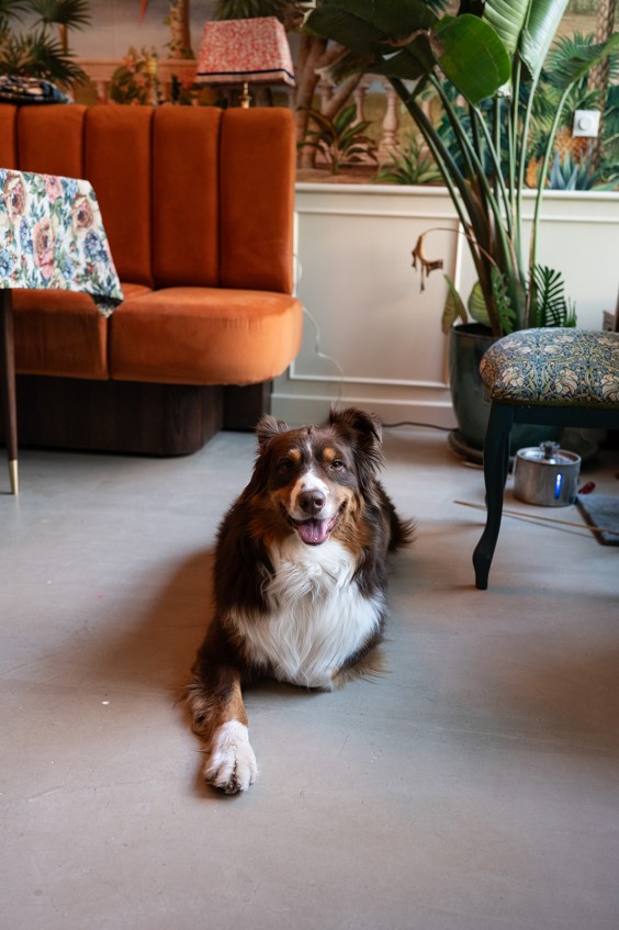 Fotografie: Sheena Schouwink