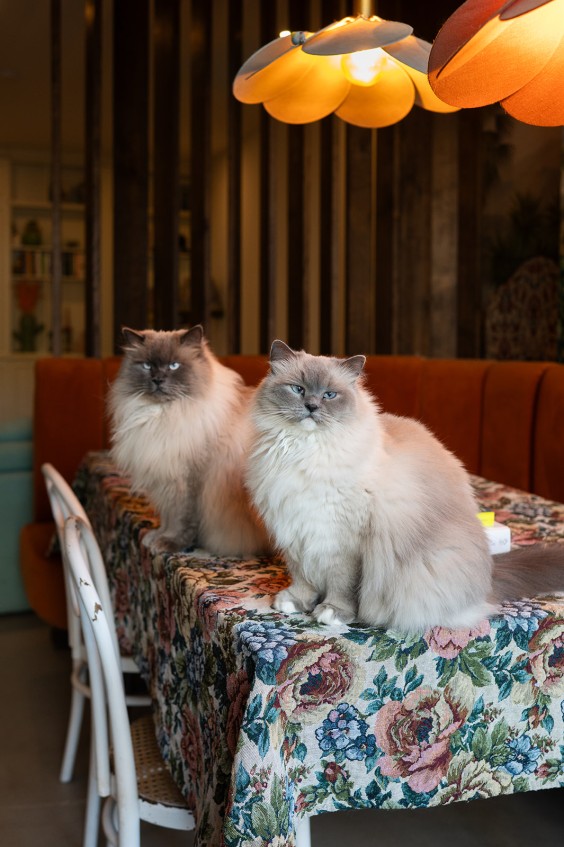 Fotografie: Sheena Schouwink