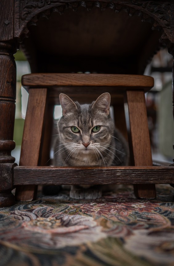 Monumentaal klushuis - Fotografie: Sheena Schouwink