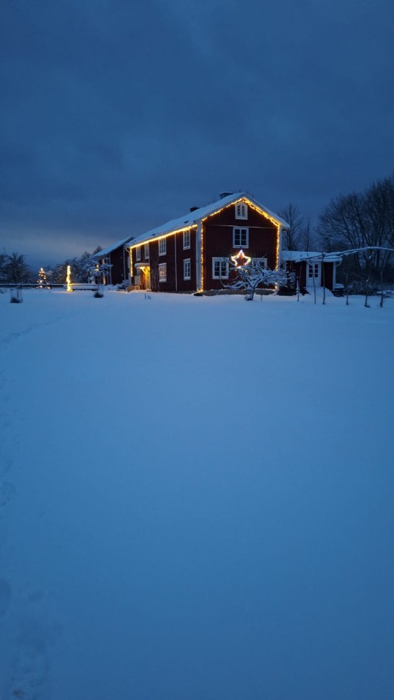 Nienke en Mart verhuizen met hun gezin naar het Zweedse platteland | Foto's: Nienke en Mart 