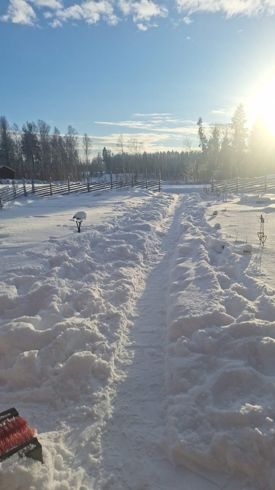 Nienke en Mart verhuizen met hun gezin naar het Zweedse platteland | Foto's: Nienke en Mart 