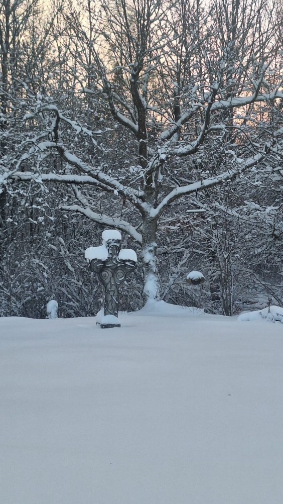 Nienke en Mart verhuizen met hun gezin naar het Zweedse platteland | Foto's: Nienke en Mart 