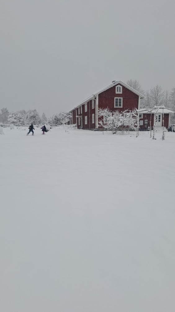Nienke en Mart verhuizen met hun gezin naar het Zweedse platteland | Foto's: Nienke en Mart 