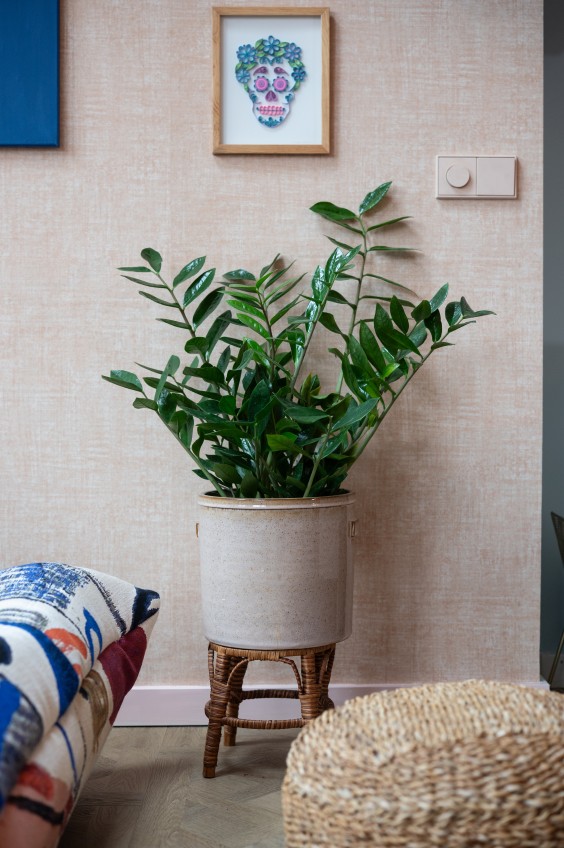 Blauw appartement - Fotografie: Sheena Schouwink