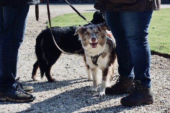Terugblik op de BinnensteBuiten Podwalkdag op Kasteel Slangenburg in Doetinchem | Fotografie Karlijn Vernooij