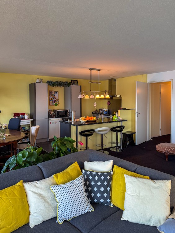 Metamorfose woonkamer - Theo-Bert Pot