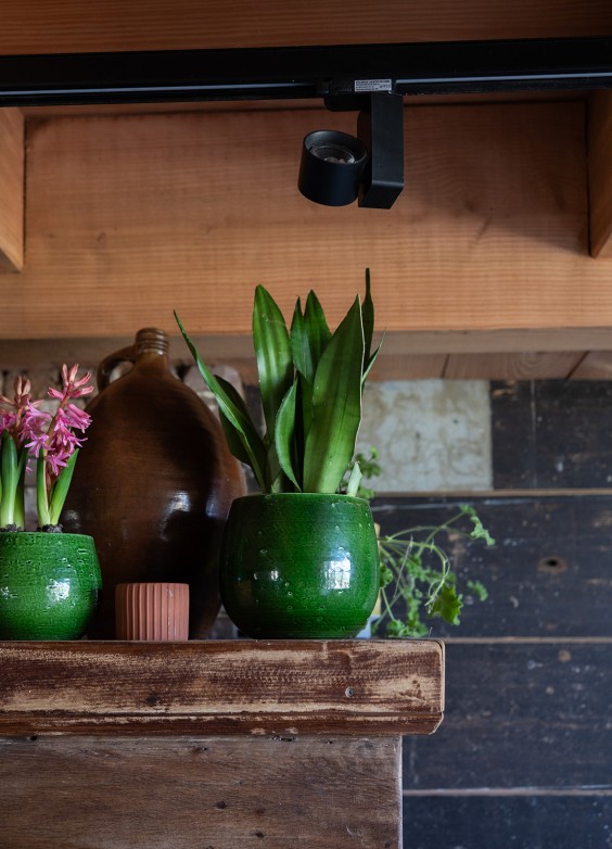 Fotografie | Sheena Schouwink