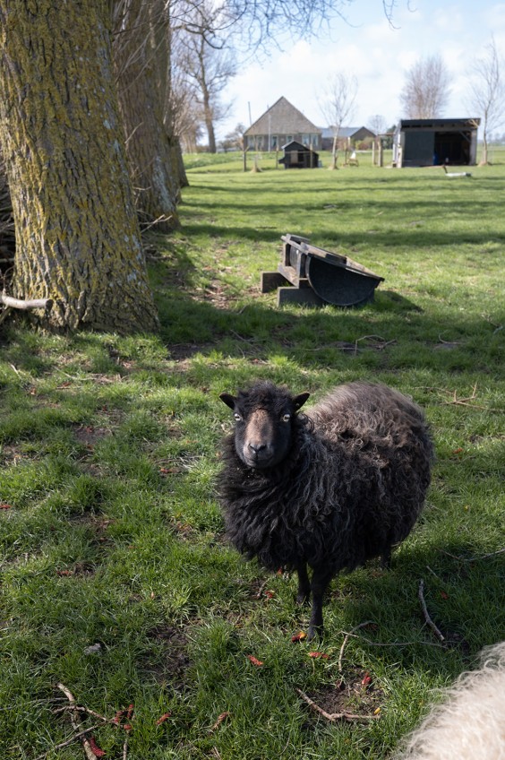 Fotografie | Sheena Schouwink