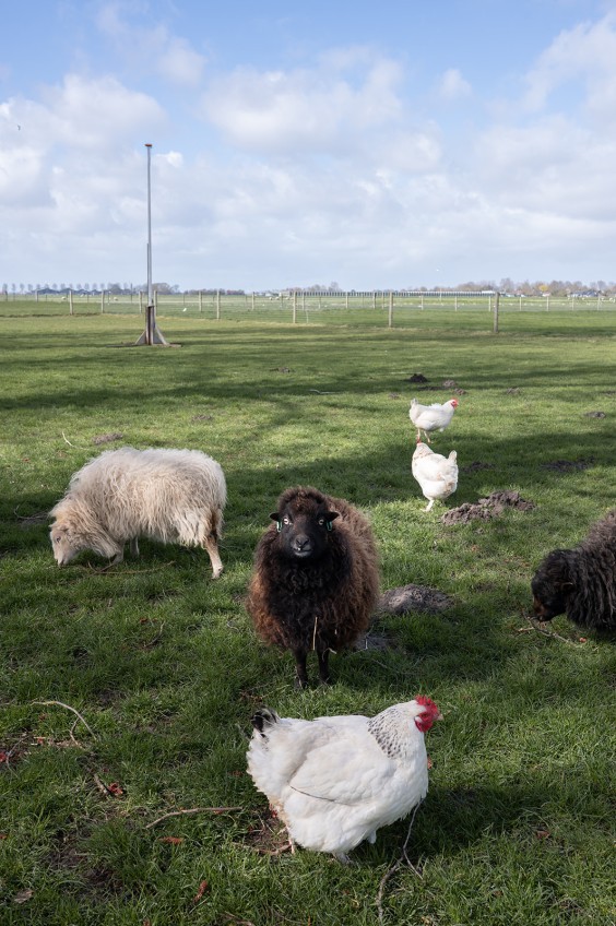 Fotografie | Sheena Schouwink