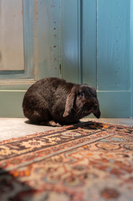 Fotografie | Sheena Schouwink