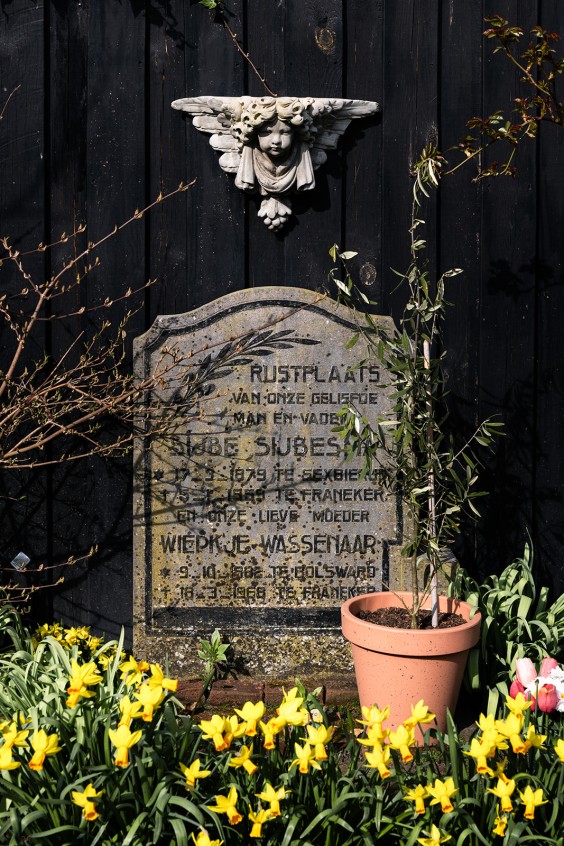 Grachtenpand Franeker | Marjon Lukje