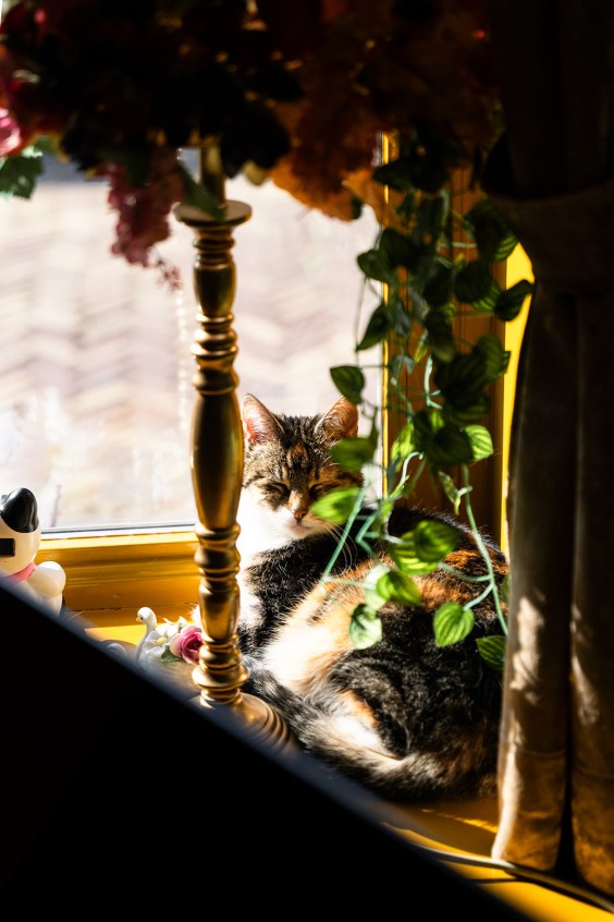 Fotografie | Marjon Lukje