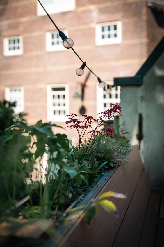 Monumentaal pand Gouda | Fotografie: Roos Eijmers