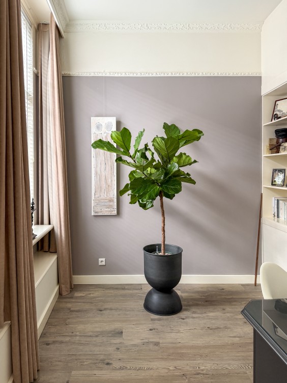 Metamorfose kantoor - Theo-Bert Pot