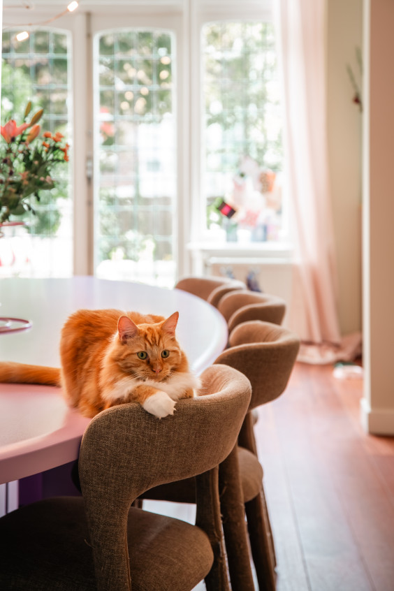 Kleurrijk modern appartement Rotterdam | Fotografie: Roos Eijmers