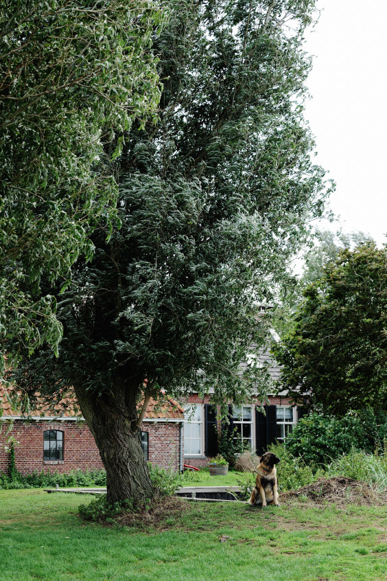 Madelon en Roeland wonen op deze gerestaureerde boerderij in het Friese Grou | Foto: Marjon Lukje