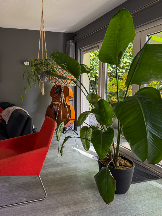 Metamorfose woonkamer - Theo-Bert Pot