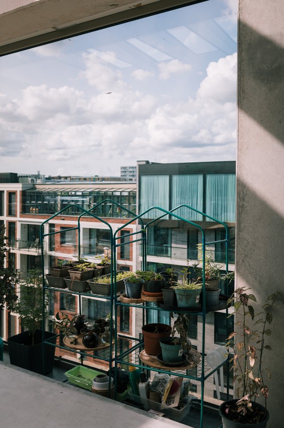 Duurzaam appartementencomplex op IJburg | Fotografie: Sheena Schouwink