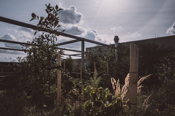 Duurzaam appartementencomplex op IJburg | Fotografie: Sheena Schouwink