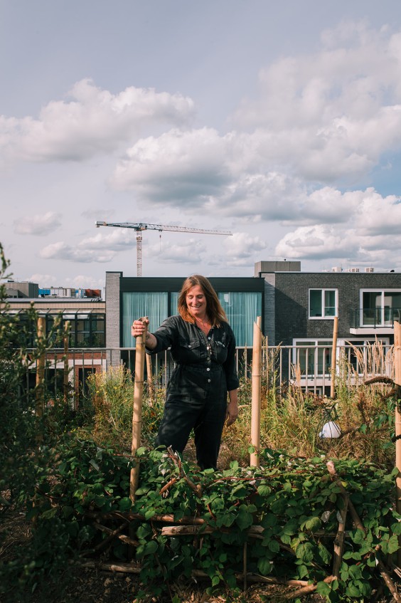 Duurzaam appartementencomplex op IJburg | Fotografie: Sheena Schouwink