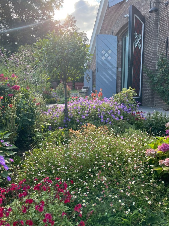 Kleurrijk droomhuis in Rheden | Fotografie: Berlinda Konings